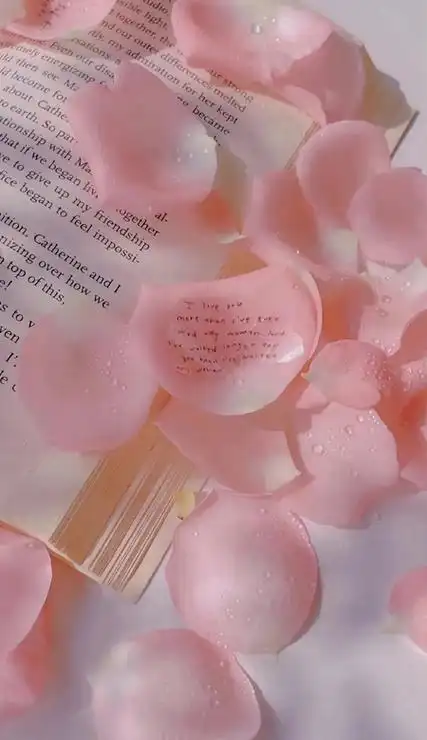 粉色系壁纸少女心拉满很有质感 日子慢慢来生活慢慢过舒服就好_7