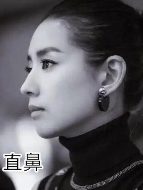 说到鼻子,总有一些其它五官比较普通,全靠鼻子加分的小美女让人羡慕不