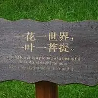 一花一世界一叶一菩提微信头像点击鼠标右键下载