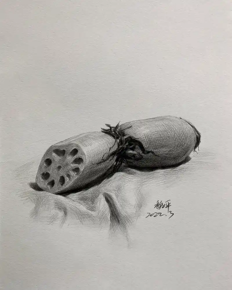 藕|步骤图解析 本文共8张步骤图 内容从起形到塑造