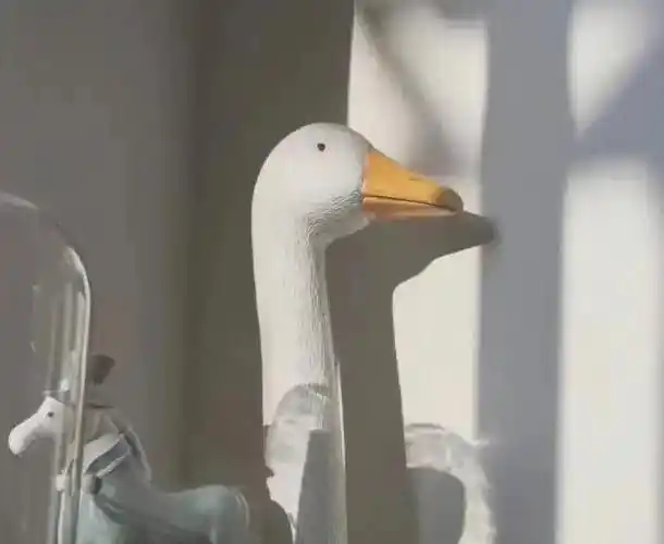 空白照片 纯白色【空白图片朋友圈凑数用】