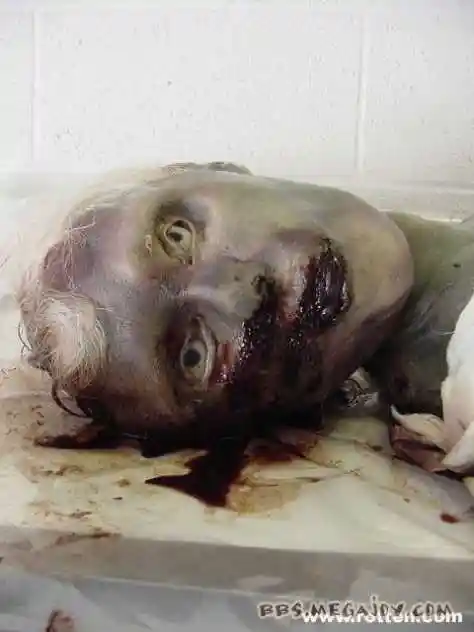 本帖最后由 兮招天 于 2015-2-10 10:06 编辑     尸体腐败的物理