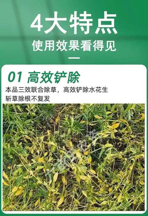 水花生连根除强力克星除草剂烂根型空心莲子草专用烂根一遍扫光净28g