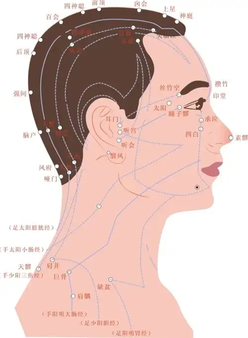 头部按摩手法教程按摩头部手法步骤