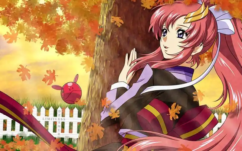 万代蓝标 拉克丝·克莱因 lacus clyne 开箱 机动战士高达seed_哔哩