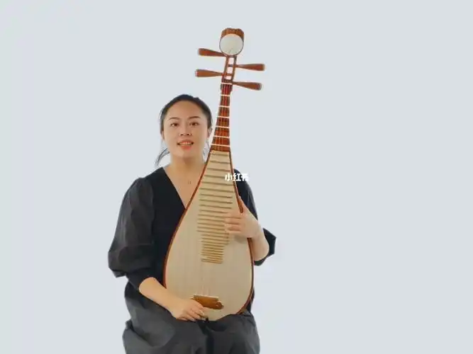 新爱琴琵琶分钟课堂第15集基础技法摇指