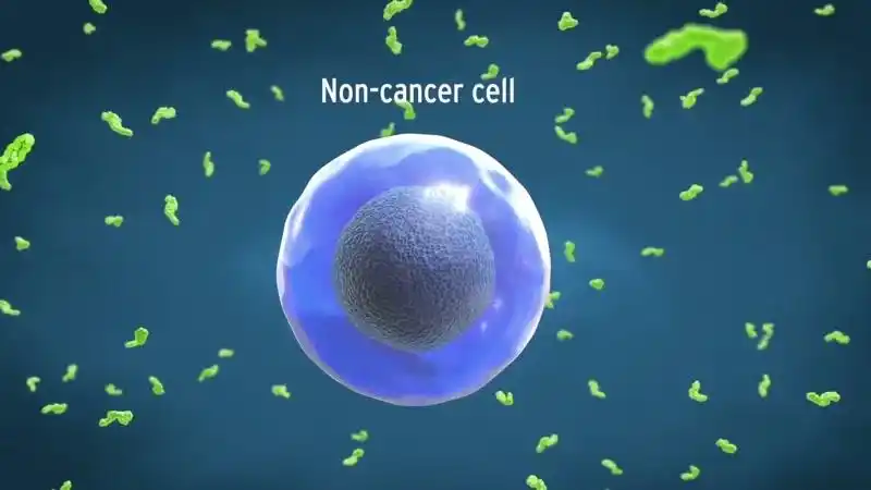 正常细胞和癌细胞对比视频素材