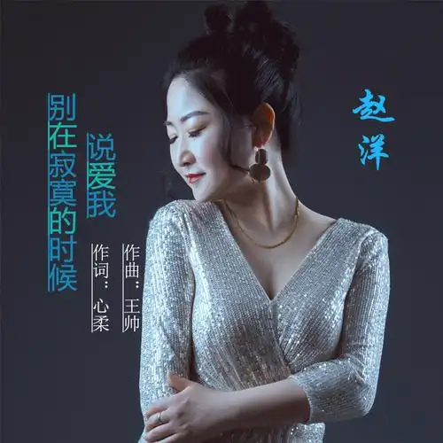 赵洋别在寂寞的时候说爱我