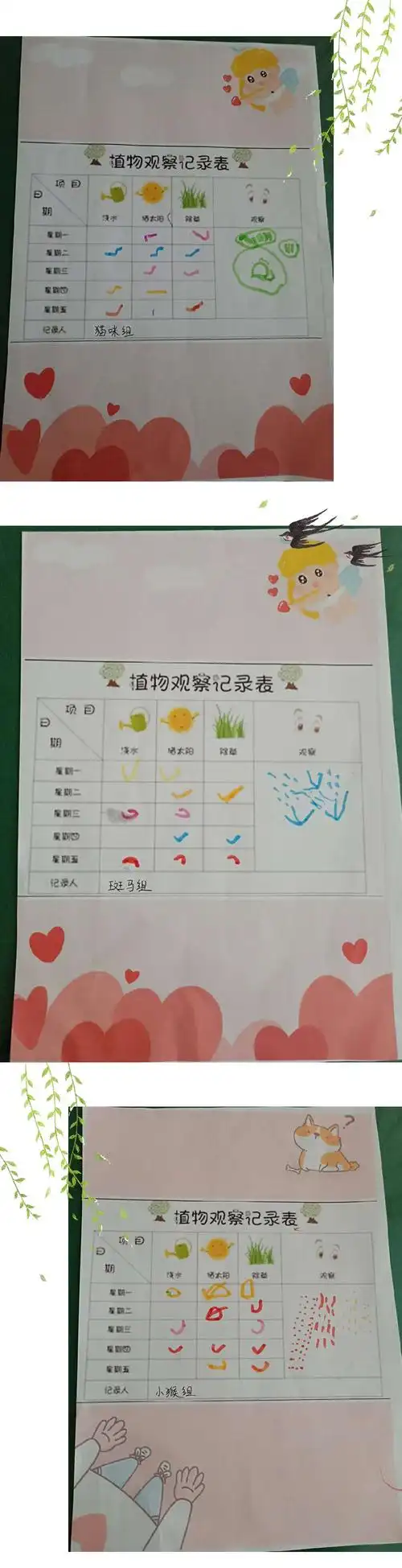 官渡区幼儿园小四班——《种子发芽了》