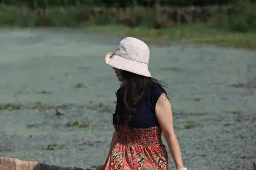 豁出去了 - 山茱萸 - 我的博客