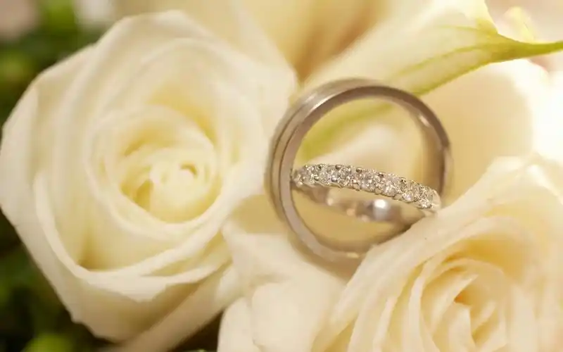 婚礼庆典,节庆,婚戒,电脑壁纸,壁纸唯美的结婚婚戒