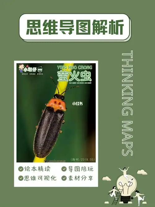 思维导图小聪仔科普篇期刊萤火虫