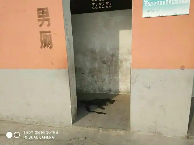 北西庄小学第六周工作纪实