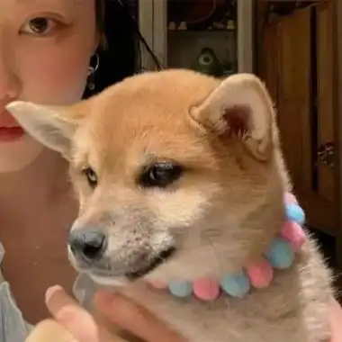 全新高颜值明显的一男一女情头