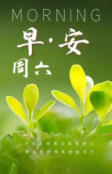 早安图片,馨的早安祝福语句,微信周六早上好问候表情图片