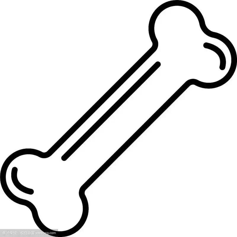 宠物食品骨头图标轮廓风格