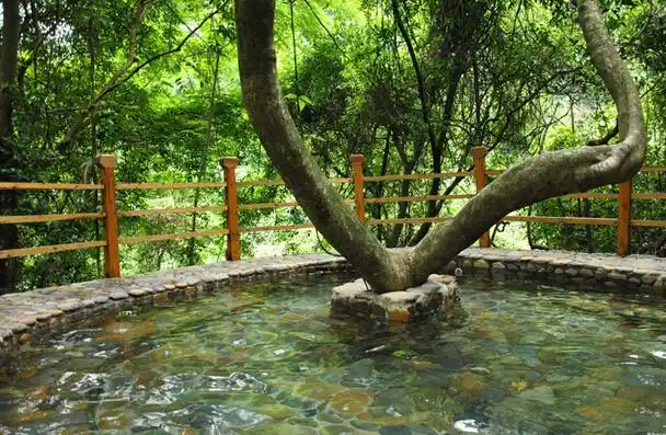 英德树上温泉两日游 -爱旅游网-广东自驾游,自由行优惠订房订票