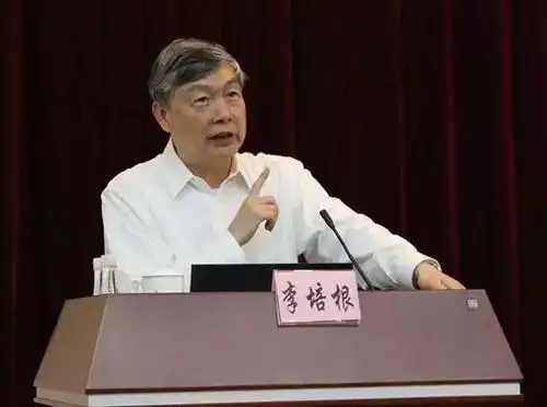 全国人大代表,华中科技大学教授,中国工程院院士李培根