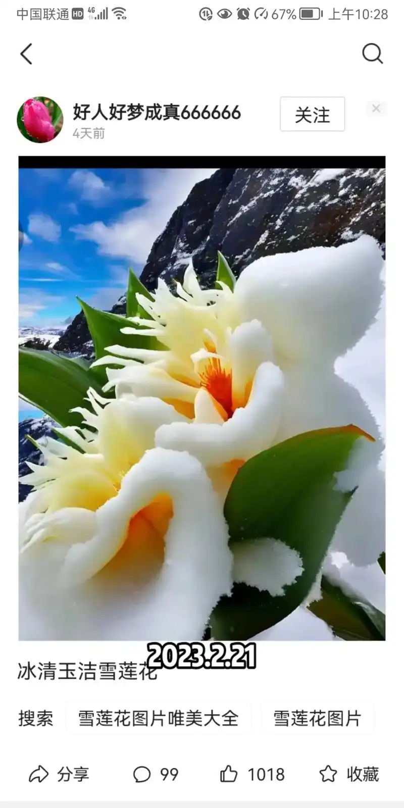 雪莲花图片 冰清玉洁雪莲花 下午3:53 4天前 65 收藏 - 抖音