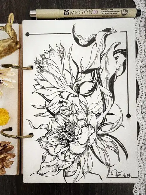 钢笔画昙花内有步骤图