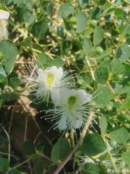 女性养生##修行养心