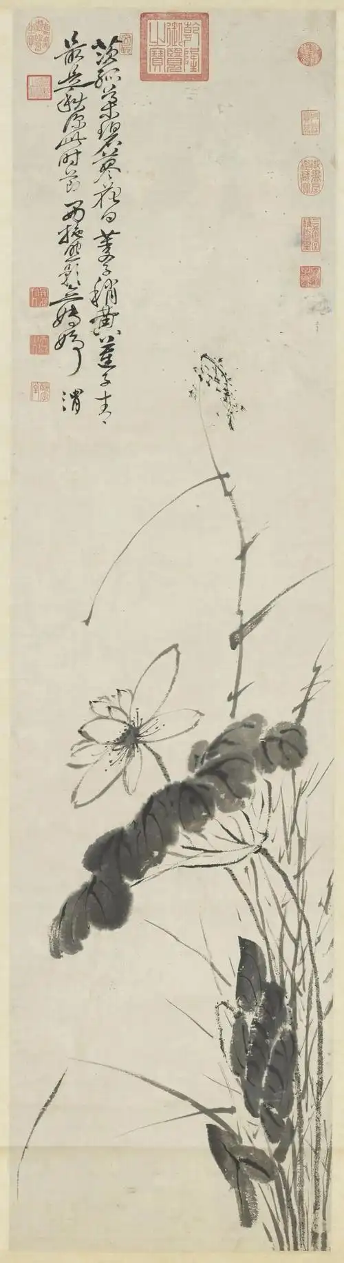 炎炎夏日,赏历代大师笔下的50幅荷花图,清新雅致!