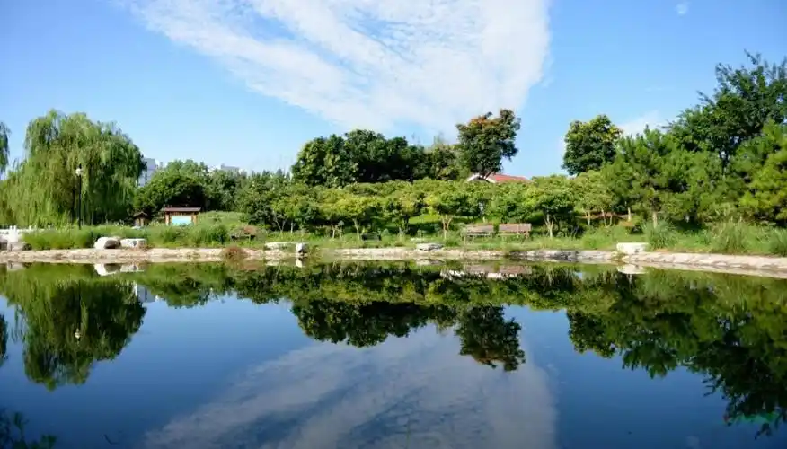 东升八家郊野公园关于生态林农民就业安置的思考_行业动态_农苗网