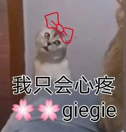 不像我只会心疼giegie梗介绍