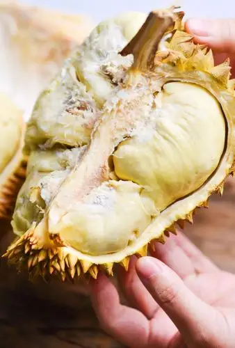 榴莲图片(榴莲图片大全大图)