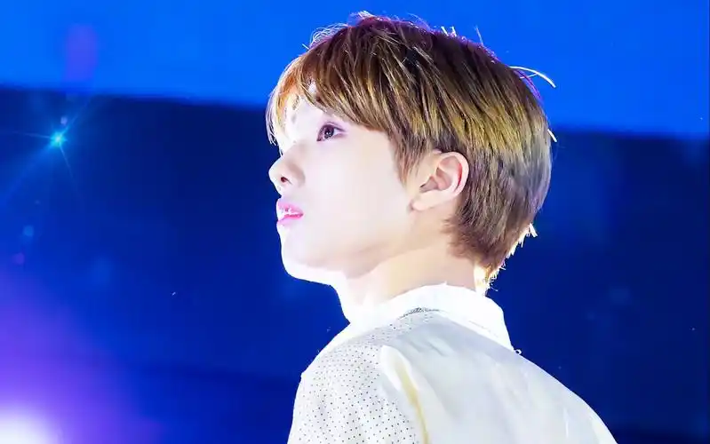 【朴志晟】出道至今所有竖屏饭拍合集,持更