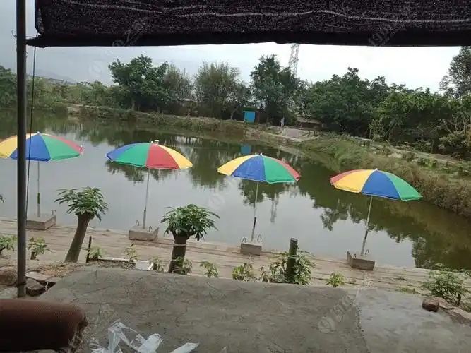 龙山休闲钓鱼场