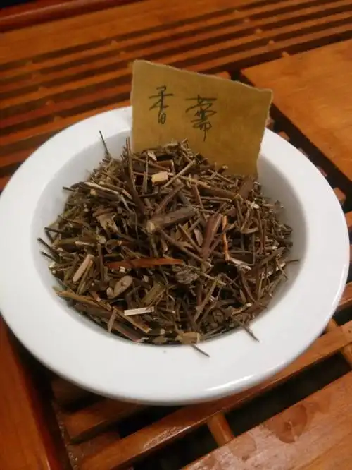 每天一味中草药:香薷,治疗伏天感冒的草药