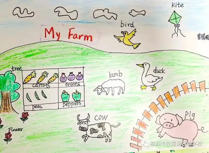 多彩英语绘出快乐英语作业的正确打开方式