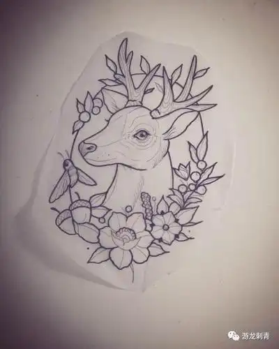 鹿纹身鹿纹身手稿鹿纹身手稿图案大全