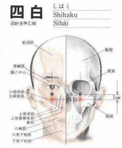 深度好文针灸单穴治病47绝招
