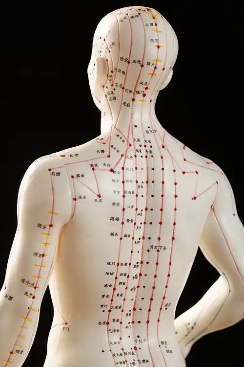 针灸穴位图片素材
