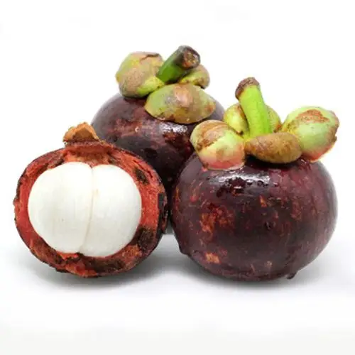 泰国●山竹水果皇后 3斤/箱