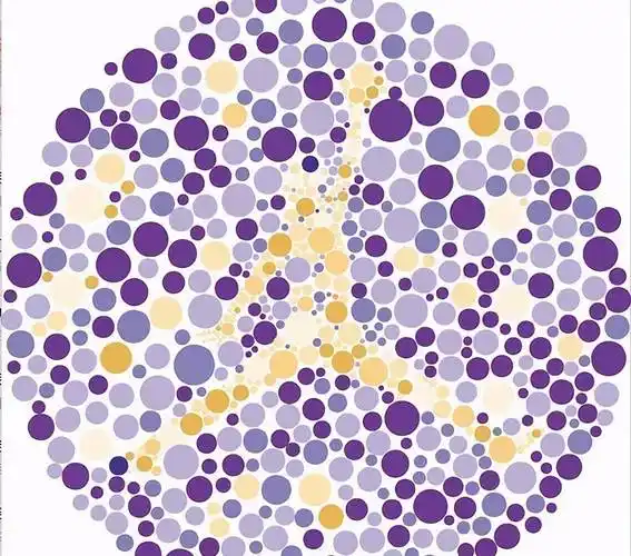 新版驾考色盲检测图,若有2张都看不清,将和驾照"无缘"了_搜狐汽车