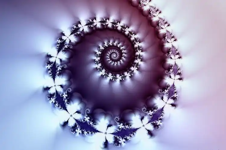 由计算机按照分形几何学的算法生成的令人叹为观止的分形图案.