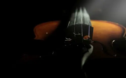 小提琴图片-唯美小提琴图片壁纸