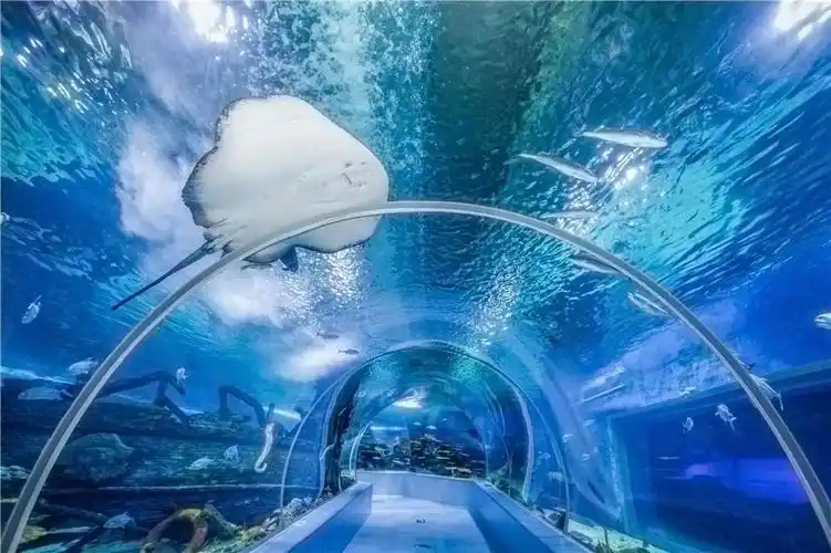 畅游海洋世界,描绘多彩童年——莒县第二实验小学彩虹中队