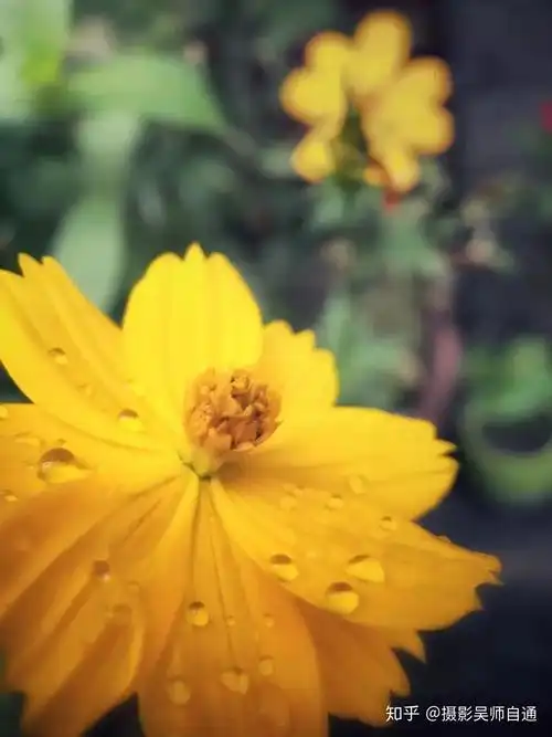 全方位教你搞懂景别