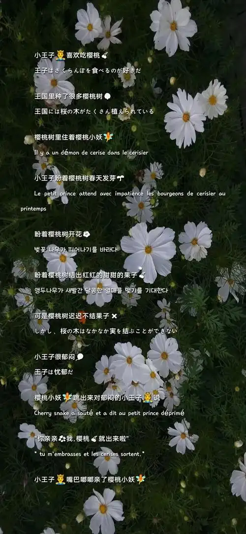 全面屏 文字 唯美壁纸,小仙女必备!