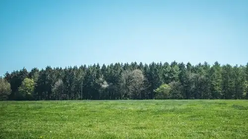 电脑壁纸 风景 碧草蓝天小清新护眼写真