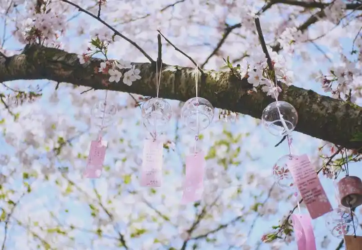 emmmmm,好想(70▽70)买风铃啊…… - 堆糖,美图壁纸兴趣社区