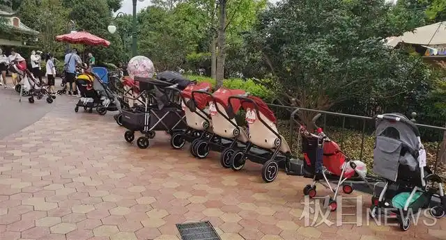 "健全人租轮椅"被写进旅游攻略,上海迪士尼回应:未出现轮椅紧俏现象