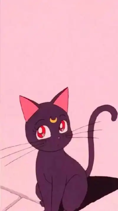 美少女战士和她的猫