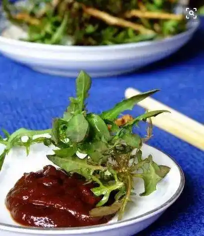 败酱,苦麻菜,黄鼠草,小苦苣,活血草,陷血丹,小苦荬,苦丁菜,苦碟子,光