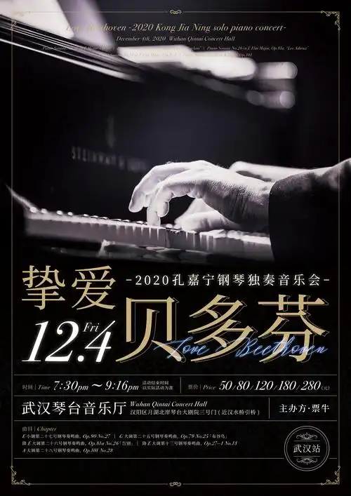 海报设计钢琴独奏音乐会