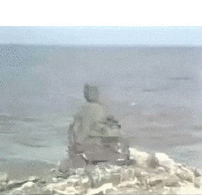 其实这里面有一点小错,孙悟空从石头里蹦出来的时候,还不是一只猴子